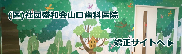 (医)社団盛和会山口歯科医院・矯正サイトへ
