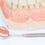 歯のそれぞれの役割について