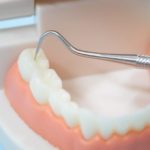 しっかり食べて食育しよう